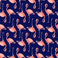 Beautiful vector floral summer pattern background with flamingo. Royalty Free Stock Photo