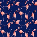 Beautiful vector floral summer pattern background with flamingo. Royalty Free Stock Photo