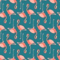 Beautiful vector floral summer pattern background with flamingo. Royalty Free Stock Photo