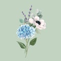 Beautiful vector gentle bouquet with watercolor blue hydrangea flowers and white anemones with lavander. Stock