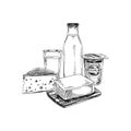 Beautiful vector hand drawn dairy products illustration. Royalty Free Stock Photo