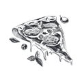 Beautiful vector hand drawn piece of pizza Illustration.