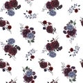 Beautiful vector seamless pattern with watercolor dark blue, red and black dahlia hydrangea flowers. Stock illustration. Royalty Free Stock Photo