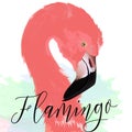 Beautiful vector illustration drawn pink flamingo Royalty Free Stock Photo