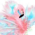 Beautiful vector illustration with drawn pink flamingo and blue