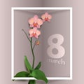 Beautiful vector illustration on a theme 8 March, International Women`s Day, spring, flowers