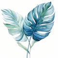 Beautiful vector image with nice hand drawn watercolor monstera leaves Generative AI