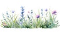 Beautiful vector image with nice watercolor lavender and iris flowers Generative AI