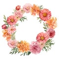 Beautiful vector image with nice watercolor zinnia flower wreath Royalty Free Stock Photo