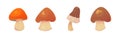 Beautiful vector mushrooms. Forest mushrooms grebe, white, boletus, boletus.