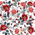 Beautiful vector pattern with red rose flowers in vintage watercolor realistic style Royalty Free Stock Photo