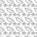 Beautiful vector seamless background with carambola. Pattern with tropical fruits black-white. Sweets of the tropics for