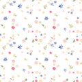 Beautiful vector seamless floral pattern with watercolor gentle summer colorful flowers. Stock illustration. Royalty Free Stock Photo