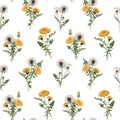 Watercolor dandelion blowball vector pattern