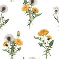 Watercolor dandelion blowball vector pattern Royalty Free Stock Photo