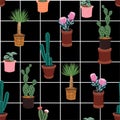 Beautiful Vector seamless pattern with different cactus in many kind of pots on window check white line ,Hand drawing background Royalty Free Stock Photo