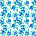 Beautiful vector seamless pattern with natural fresh blueberries. Bright blue, violet and green hand drawn watercolor