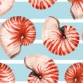 Watercolor sea life nautilus shell vector pattern Royalty Free Stock Photo