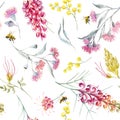 Watercolor australian grevillea vector pattern Royalty Free Stock Photo