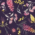 Watercolor australian grevillea vector pattern Royalty Free Stock Photo