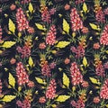 Watercolor vector grevillea pattern Royalty Free Stock Photo