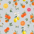 Watercolor citrus vector pattern