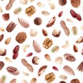 Beautiful vector seamless pattern with watercolor hand drawn almond walnut hazelnut peanut pecan cashew macadamia