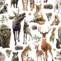 Beautiful vector seamless pattern with watercolor hand drawn forest wild deer elk lynx fox wolf snake rabbit squirrel