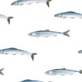 Beautiful vector seamless pattern with watercolor herring fish. Stock illustration.