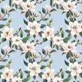 Beautiful vector seamless pattern with hand drawn watercolor white magnolia flowers. Stock illustration.