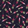 Watercolor radish vector seamless pattern