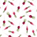 Watercolor radish vector seamless pattern