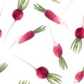 Watercolor radish vector seamless pattern