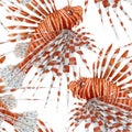 Beautiful vector seamless pattern with watercolor red lionfish. Stock illustration.