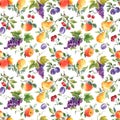 Beautiful vector seamless pattern with hand drawn watercolor tasty summer pear apple grape cherry plum fruits. Stock