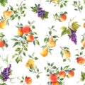 Beautiful vector seamless pattern with hand drawn watercolor tasty summer pear apple grape fruits. Stock illustration.