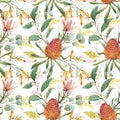 Watercolor australian banksia vector pattern