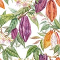 Beautiful vector seamless tropical pattern with hand drawn watercolor cocoa fruits and leaves. Stock illustration.