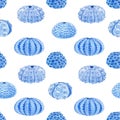 Beautiful vector seamless underwater pattern with watercolor sea urchin. Stock illustration. Royalty Free Stock Photo