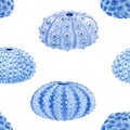 Beautiful vector seamless underwater pattern with watercolor sea urchin. Stock illustration. Royalty Free Stock Photo