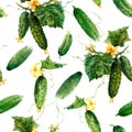 Beautiful vector seamless vegetable pattern with watercolor summer cucumbers. Stock illustration.