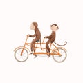 Beautiful vector stock illustration with cute watercolor baby monkey on bike. Animal with bicycle hand drawn painting. Royalty Free Stock Photo