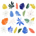 Beautiful vector tropical set with hand drawn digital isolated palm tree leaves and jungle flowers. Stock floral clip
