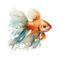 Beautiful vector watercol illustration of fish. Watercolor explosion on a white background. Royalty Free Stock Photo