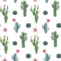 Beautiful vector watercolor cactus seamless pattern. Hand drawn stock illustrations. White background. Royalty Free Stock Photo