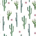 Beautiful vector watercolor cactus seamless pattern. Hand drawn stock illustrations. White background. Royalty Free Stock Photo