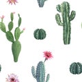 Beautiful vector watercolor cactus seamless pattern. Hand drawn stock illustrations. White background. Royalty Free Stock Photo