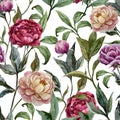 Beautiful vector watercolor pattern with peonies Royalty Free Stock Photo