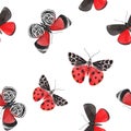 Beautiful vector watercolor red butterfly seamless pattern. Colorful insects. Hand drawn artwork. Ready wallpaper or Royalty Free Stock Photo