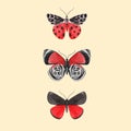 Beautiful vector watercolor three red butterfly set. Colorful summer insects. Hand drawn clip art. Beauty of nature Royalty Free Stock Photo